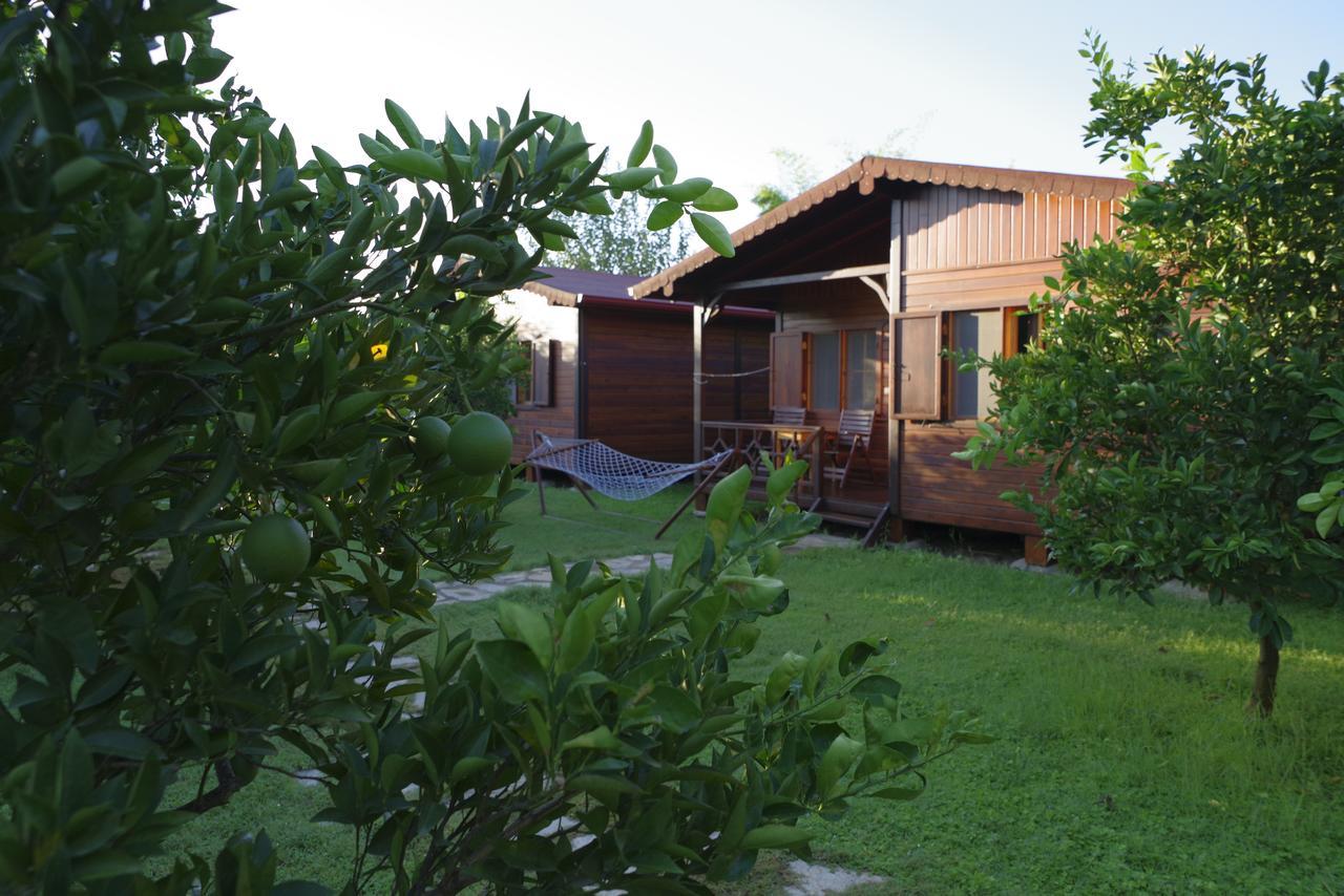 Ozge Bungalow Hotel Cirali Exterior foto